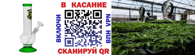 Где найти наркотики Аша Галлюциногенные грибы КЕТАМИН Гашиш ГЕРОИН Канабис COCAIN APVP МЕФ