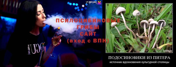 сатива Покров