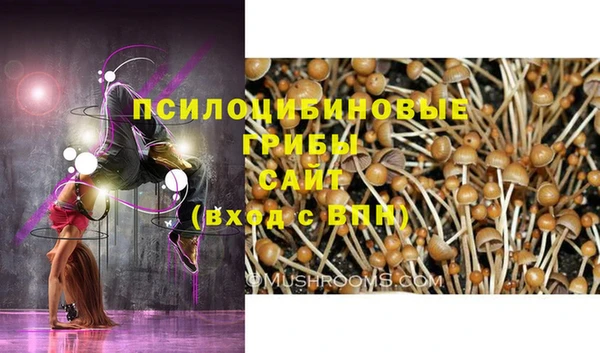 сатива Покров