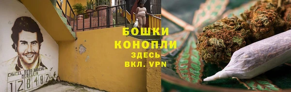трава Переславль-Залесский