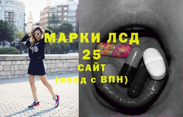 шишки Покачи