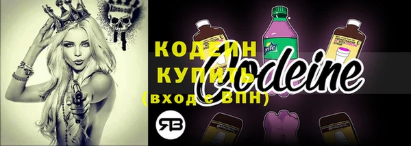 шишки Покачи