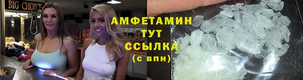 индика Ухта