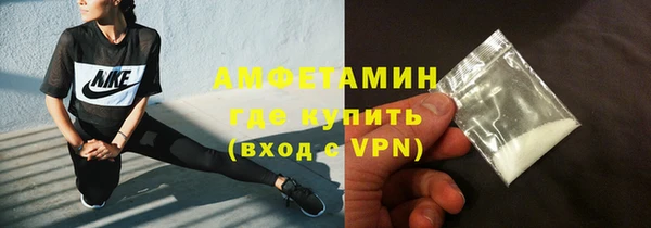 шишки Покачи