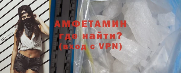 шишки Покачи