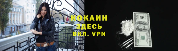 шишки Покачи