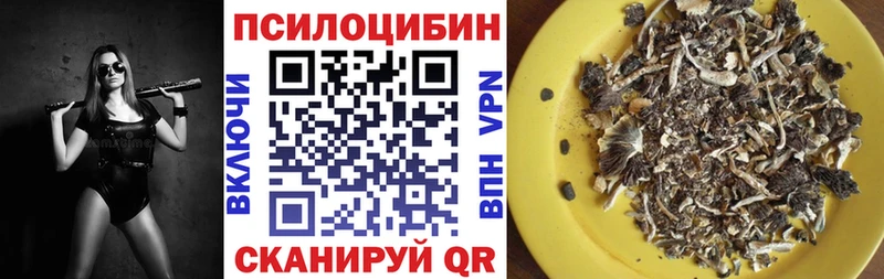 Псилоцибиновые грибы GOLDEN TEACHER Аша