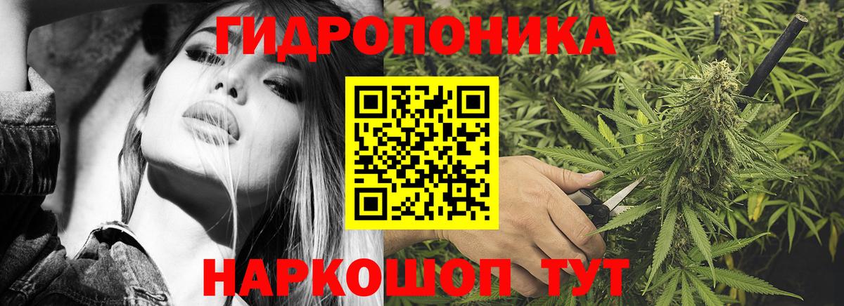 Бошки Шишки AK-47  Бошки Шишки MAZAR  Аша 